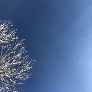 Meet your Posher, Joselyn